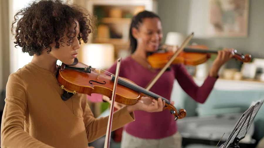 Violin Class for Adults